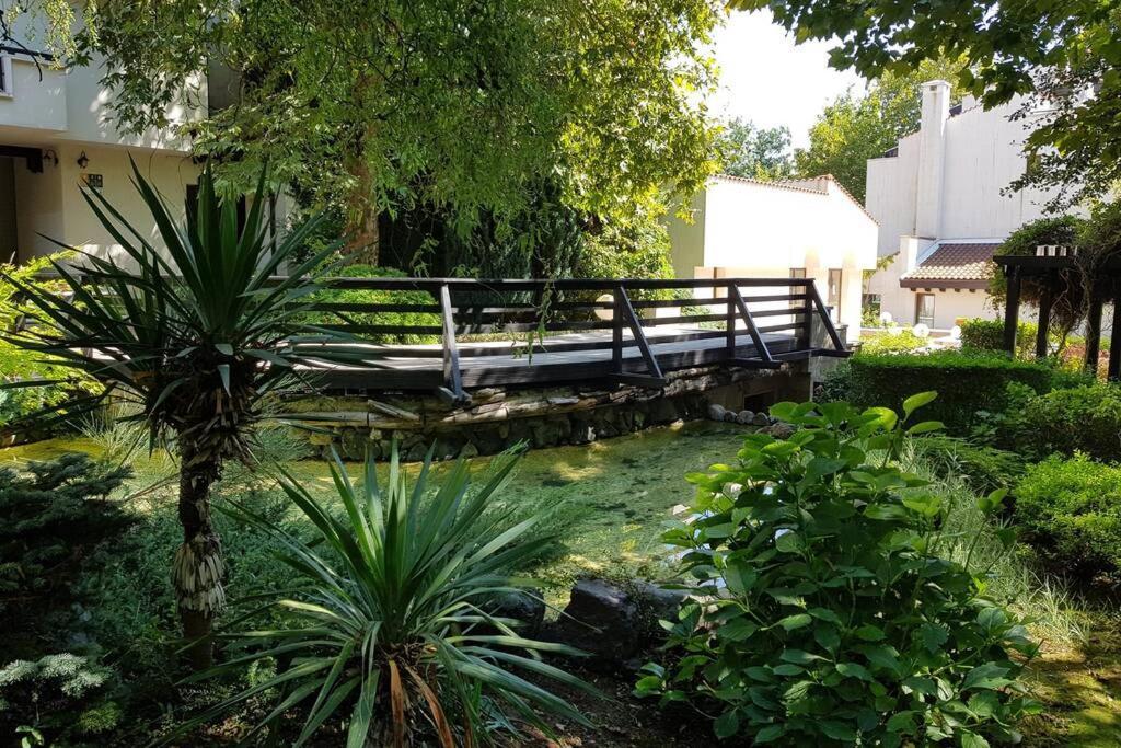 Apartment In The Picturesque Oasis Resort & Spa Lozeneț Exterior foto